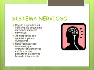 SISTEMA NERVIOSO
 Regula e coordina as
funcións do organismo
mediante impulsos
nerviosos
 As respostas son
rápidas e pouco
duradeiras
 Está formado por
neuronas, que
transmiten correntes
eléctricas que
percorren os nervios
levando información
 