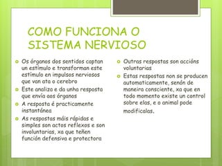 COMO FUNCIONA O
SISTEMA NERVIOSO
 Os órganos dos sentidos captan
un estímulo e transforman este
estímulo en impulsos nerviosos
que van ata o cerebro
 Este analiza e da unha resposta
que envía aos órganos
 A resposta é practicamente
instantánea
 As respostas máis rápidas e
simples son actos reflexos e son
involuntarias, xa que teñen
función defensiva e protectora
 Outras respostas son accións
voluntarias
 Estas respostas non se producen
automaticamente, senón de
maneira consciente, xa que en
todo momento existe un control
sobre elas, e o animal pode
modificalas.
 