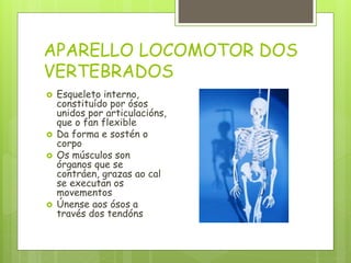APARELLO LOCOMOTOR DOS
VERTEBRADOS
 Esqueleto interno,
constituído por ósos
unidos por articulacións,
que o fan flexible
 Da forma e sostén o
corpo
 Os músculos son
órganos que se
contráen, grazas ao cal
se executan os
movementos
 Únense aos ósos a
través dos tendóns
 