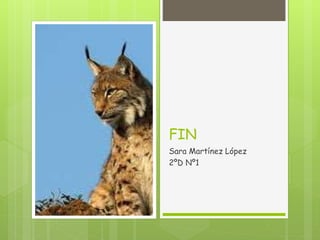 FIN
Sara Martínez López
2ºD Nº1
 