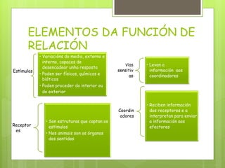 ELEMENTOS DA FUNCIÓN DE
RELACIÓN
Estímulos
• Variacións do medio, externo e
interno, capaces de
desencadear unha resposta
• Poden ser físicos, químicos e
bióticos
• Poden proceder do interior ou
do exterior
Receptor
es
• Son estruturas que captan os
estímulos
• Nos animais son os órganos
dos sentidos
Vías
sensitiv
as
• Levan a
información aos
coordinadores
Coordin
adores
• Reciben información
dos receptores e a
interpretan para enviar
a información aos
efectores
 