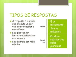 TIPOS DE RESPOSTAS
 A resposta é a acción
que executa un ser
vivo como reacción a
un estímulo
 Nas plantas son
lentas e asociadas ao
crecemento
 Nos animais son máis
rápidas
Motora
• É un
movemento
• Son os
músculos
Secret
ora
• Produce
substancias
polas
glándulas
 
