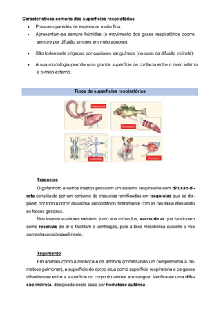 Características comuns das superfícies respiratórias
• Possuem paredes de espessura muito fina;
• Apresentam-se sempre húmidas (o movimento dos gases respiratórios ocorre
sempre por difusão simples em meio aquoso);
• São fortemente irrigadas por capilares sanguíneos (no caso da difusão indireta);
• A sua morfologia permite uma grande superfície de contacto entre o meio interno
e o meio externo.
Tipos de superfícies respiratórias
Traqueias
O gafanhoto e outros insetos possuem um sistema respiratório com difusão di-
reta constituído por um conjunto de traqueias ramificadas em traquíolas que se dis-
põem por todo o corpo do animal contactando diretamente com as células e efetuando
as trocas gasosas.
Nos insetos voadores existem, junto aos músculos, sacos de ar que funcionam
como reservas de ar e facilitam a ventilação, pois a taxa metabólica durante o voo
aumenta consideravelmente.
Tegumento
Em animais como a minhoca e os anfíbios (constituindo um complemento à he-
matose pulmonar), a superfície do corpo atua como superfície respiratória e os gases
difundem-se entre a superfície do corpo do animal e o sangue. Verifica-se uma difu-
são indireta, designada neste caso por hematose cutânea.
 