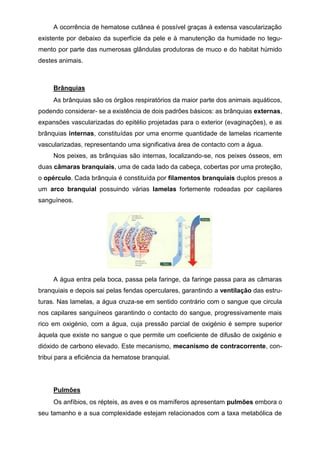 A ocorrência de hematose cutânea é possível graças à extensa vascularização
existente por debaixo da superfície da pele e à manutenção da humidade no tegu-
mento por parte das numerosas glândulas produtoras de muco e do habitat húmido
destes animais.
Brânquias
As brânquias são os órgãos respiratórios da maior parte dos animais aquáticos,
podendo considerar- se a existência de dois padrões básicos: as brânquias externas,
expansões vascularizadas do epitélio projetadas para o exterior (evaginações), e as
brânquias internas, constituídas por uma enorme quantidade de lamelas ricamente
vascularizadas, representando uma significativa área de contacto com a água.
Nos peixes, as brânquias são internas, localizando-se, nos peixes ósseos, em
duas câmaras branquiais, uma de cada lado da cabeça, cobertas por uma proteção,
o opérculo. Cada brânquia é constituída por filamentos branquiais duplos presos a
um arco branquial possuindo várias lamelas fortemente rodeadas por capilares
sanguíneos.
A água entra pela boca, passa pela faringe, da faringe passa para as câmaras
branquiais e depois sai pelas fendas operculares, garantindo a ventilação das estru-
turas. Nas lamelas, a água cruza-se em sentido contrário com o sangue que circula
nos capilares sanguíneos garantindo o contacto do sangue, progressivamente mais
rico em oxigénio, com a água, cuja pressão parcial de oxigénio é sempre superior
àquela que existe no sangue o que permite um coeficiente de difusão de oxigénio e
dióxido de carbono elevado. Este mecanismo, mecanismo de contracorrente, con-
tribui para a eficiência da hematose branquial.
Pulmões
Os anfíbios, os répteis, as aves e os mamíferos apresentam pulmões embora o
seu tamanho e a sua complexidade estejam relacionados com a taxa metabólica de
 