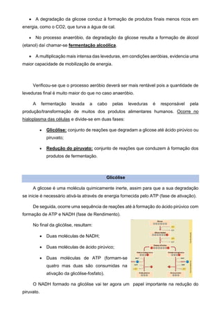 • A degradação da glicose conduz à formação de produtos finais menos ricos em
energia, como o CO2, que turva a água de cal.
• No processo anaeróbio, da degradação da glicose resulta a formação de álcool
(etanol) daí chamar-se fermentação alcoólica.
• A multiplicação mais intensa das leveduras, em condições aeróbias, evidencia uma
maior capacidade de mobilização de energia.
Verificou-se que o processo aeróbio deverá ser mais rentável pois a quantidade de
leveduras final é muito maior do que no caso anaeróbio.
A fermentação levada a cabo pelas leveduras é responsável pela
produção/transformação de muitos dos produtos alimentares humanos. Ocorre no
hialoplasma das células e divide-se em duas fases:
• Glicólise: conjunto de reações que degradam a glicose até ácido pirúvico ou
piruvato;
• Redução do piruvato: conjunto de reações que conduzem à formação dos
produtos de fermentação.
Glicólise
A glicose é uma molécula quimicamente inerte, assim para que a sua degradação
se inicie é necessário ativá-la através de energia fornecida pelo ATP (fase de ativação).
De seguida, ocorre uma sequência de reações até à formação do ácido pirúvico com
formação de ATP e NADH (fase de Rendimento).
No final da glicólise, resultam:
• Duas moléculas de NADH;
• Duas moléculas de ácido pirúvico;
• Duas moléculas de ATP (formam-se
quatro mas duas são consumidas na
ativação da glicólise-fosfato).
O NADH formado na glicólise vai ter agora um papel importante na redução do
piruvato.
 