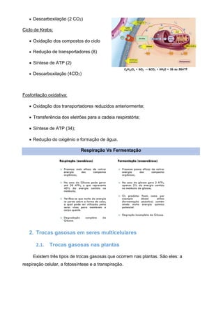 • Descarboxilação (2 CO2)
Ciclo de Krebs:
• Oxidação dos compostos do ciclo
• Redução de transportadores (8)
• Síntese de ATP (2)
• Descarboxilação (4CO2)
Fosforilação oxidativa:
• Oxidação dos transportadores reduzidos anteriormente;
• Transferência dos eletrões para a cadeia respiratória;
• Síntese de ATP (34);
• Redução do oxigénio e formação de água.
Respiração Vs Fermentação
2. Trocas gasosas em seres multicelulares
2.1. Trocas gasosas nas plantas
Existem três tipos de trocas gasosas que ocorrem nas plantas. São eles: a
respiração celular, a fotossíntese e a transpiração.
 