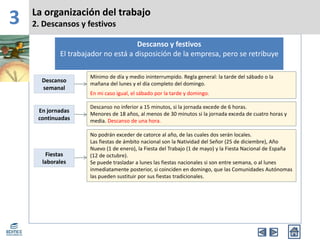 3 La organización del trabajo
2. Descansos y festivos
Descanso y festivos
El trabajador no está a disposición de la empresa, pero se retribuye
Descanso
semanal
En jornadas
continuadas
Fiestas
laborales
Mínimo de día y medio ininterrumpido. Regla general: la tarde del sábado o la
mañana del lunes y el día completo del domingo.
En mi caso igual, el sábado por la tarde y domingo.
Descanso no inferior a 15 minutos, si la jornada excede de 6 horas.
Menores de 18 años, al menos de 30 minutos si la jornada exceda de cuatro horas y
media. Descanso de una hora.
No podrán exceder de catorce al año, de las cuales dos serán locales.
Las fiestas de ámbito nacional son la Natividad del Señor (25 de diciembre), Año
Nuevo (1 de enero), la Fiesta del Trabajo (1 de mayo) y la Fiesta Nacional de España
(12 de octubre).
Se puede trasladar a lunes las fiestas nacionales si son entre semana, o al lunes
inmediatamente posterior, si coinciden en domingo, que las Comunidades Autónomas
las pueden sustituir por sus fiestas tradicionales.
 