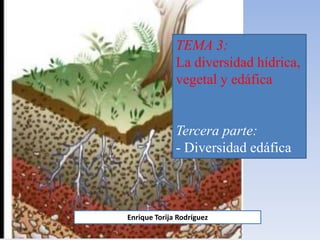 TEMA 3:
La diversidad hídrica,
vegetal y edáfica
Tercera parte:
- Diversidad edáfica
Enrique Torija Rodríguez
 