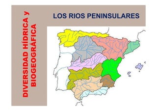 DIVERSIDAD HÍDRICA y
   BIOGEOGRÁFICA
                  LOS RIOS PENINSULARES
 
