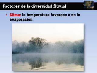 Factores de la diversidad fluvial
• Clima: la temperatura favorece o no la
evaporación
 
