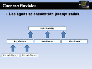 Cuencas fluviales
• Las aguas se encuentran jerarquizadas
RÍO PRINCIPAL
Río afluente Río afluente Río afluente
Río subafluente Río subafluente
 