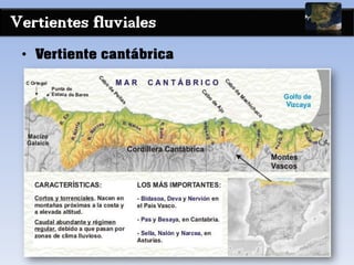 Vertientes fluviales
• Vertiente cantábrica
 