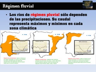 Régimen fluvial
• Los ríos de régimen pluvial sólo dependen
de las precipitaciones. Su caudal
representa máximos y mínimos en cada
zona climática
 