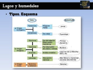 Lagos y humedales
• Tipos. Esquema
 