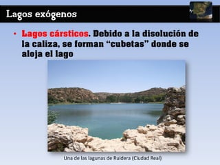 Lagos exógenos
• Lagos cársticos. Debido a la disolución de
la caliza, se forman “cubetas” donde se
aloja el lago
Una de las lagunas de Ruidera (Ciudad Real)
 