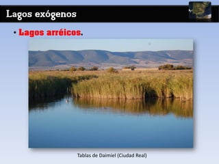 Lagos exógenos
• Lagos arréicos.
Tablas de Daimiel (Ciudad Real)
 