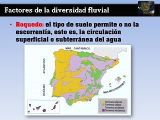 Factores de la diversidad fluvial
• Roquedo: el tipo de suelo permite o no la
escorrentía, esto es, la circulación
superficial o subterránea del agua
 