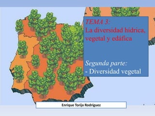 TEMA 3:
La diversidad hídrica,
vegetal y edáfica
Segunda parte:
- Diversidad vegetal
Enrique Torija Rodríguez
 