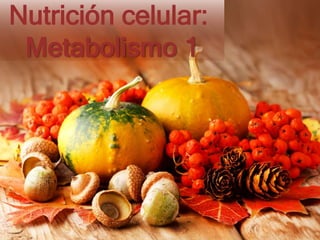 Nutrición celular:
Metabolismo 1
 