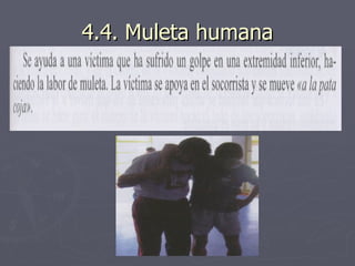 4.4. Muleta humana 