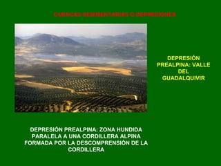 DEPRESIÓN PREALPINA: ZONA HUNDIDA PARALELA A UNA CORDILLERA ALPINA FORMADA POR LA DESCOMPRENSIÓN DE LA CORDILLERA CUENCAS SEDIMENTARIAS O DEPRESIONES DEPRESIÓN PREALPINA: VALLE DEL GUADALQUIVIR 