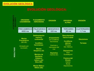 EVOLUCIÓN GEOLÓGICA: PRECAMBRICO 4000 ma PALEOZOICO 600 ma MESOZOICO 225 ma TERCIARIO 68 ma CUATERNARIO 1,7 ma ACONTECIMIENTO GEOLÓGICO RESULTADO OROGENIA CADOMIENSE PLEGAMIENTO HERCINIANO OROGENIA ALPINA EROSIÓN EROSIÓN Macizo Precámbrico  (NE-SE) Arrasado por la erosión Sedimentación marina y continental Cordillera hercinianas: Macizo Hespérico (O) Macizos de Aquitania, Catalano-balear y del Ebro (NE) Macizo Bético-Rifeño (SE) Arrasamiento  de Cordilleras hercinianas Avances y retrocesos del mar Depósitos  marinos (E) Basculamiento hacia el oeste Cordilleras alpinas: Pirineos Sist. Béticos Depresiones Ebro Guadalquivir Fractura del Zócalo: Interior Borde Depresiones Glaciarismo Terrazas EVOLUCIÓN GEOLÓGICA 