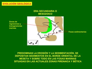 ERA SECUNDARIA O MESOZOICO Zonas de regresiones y transgresiones marinas Fosas sedimentarias EVOLUCIÓN GEOLÓGICA PREDOMINAN LA EROSIÓN Y LA SEDIMENTACIÓN. SE DEPOSITAN SEDIMENTOS EN EL BORDE ORIENTAL DE LA MESETA Y SOBRE TODO EN LAS FOSAS MARINAS SITUADAS EN LAS ACTUALES ZONAS PIRENAICA Y BÉTICA 