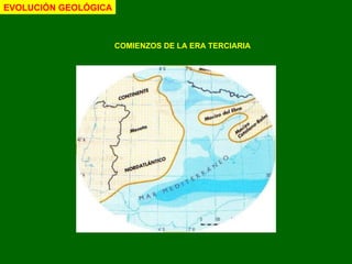 COMIENZOS DE LA ERA TERCIARIA EVOLUCIÓN GEOLÓGICA 
