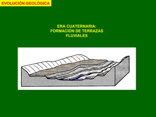 ERA CUATERNARIA: FORMACIÓN DE TERRAZAS FLUVIALES EVOLUCIÓN GEOLÓGICA 