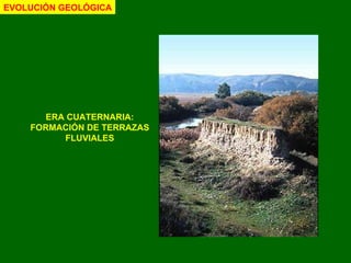 ERA CUATERNARIA: FORMACIÓN DE TERRAZAS FLUVIALES EVOLUCIÓN GEOLÓGICA 