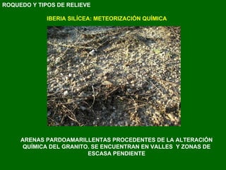 ARENAS PARDOAMARILLENTAS PROCEDENTES DE LA ALTERACIÓN QUÍMICA DEL GRANITO. SE ENCUENTRAN EN VALLES  Y ZONAS DE ESCASA PENDIENTE IBERIA SILÍCEA: METEORIZACIÓN QUÍMICA ROQUEDO Y TIPOS DE RELIEVE 
