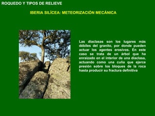 IBERIA SILÍCEA: METEORIZACIÓN MECÁNICA Las diaclasas son los lugares más débiles del granito, por donde pueden actuar los agentes erosivos. En este caso se trata de un árbol que ha enraizado en el interior de una diaclasa, actuando como una cuña que ejerce presión sobre los bloques de la roca hasta producir su fractura definitiva ROQUEDO Y TIPOS DE RELIEVE 