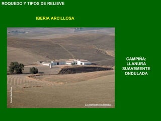 ROQUEDO Y TIPOS DE RELIEVE IBERIA ARCILLOSA CAMPIÑA: LLANURA SUAVEMENTE ONDULADA 