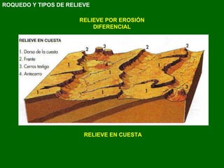 RELIEVE POR EROSIÓN DIFERENCIAL RELIEVE EN CUESTA ROQUEDO Y TIPOS DE RELIEVE 