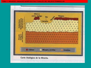 TEMA 3: GRANDES UNIDADES MORFOESTRUCTURALES DEL RELIEVE PENINSULAR 