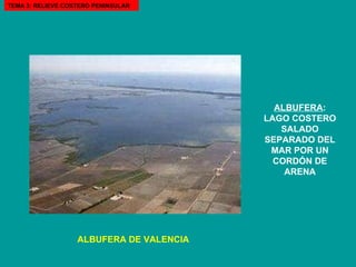 TEMA 3: RELIEVE COSTERO PENINSULAR ALBUFERA : LAGO COSTERO SALADO SEPARADO DEL MAR POR UN CORDÓN DE ARENA ALBUFERA DE VALENCIA 