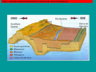 TEMA 3: GRANDES UNIDADES MORFOESTRUCTURALES DEL RELIEVE PENINSULAR 