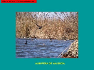 ALBUFERA DE VALENCIA TEMA 3: RELIEVE COSTERO PENINSULAR 