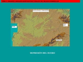 DEPRESIÓN DEL DUERO TEMA 3: GRANDES UNIDADES MORFOESTRUCTURALES DEL RELIEVE PENINSULAR 