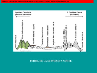 PERFIL DE LA SUBMESETA NORTE TEMA 3: GRANDES UNIDADES MORFOESTRUCTURALES DEL RELIEVE PENINSULAR 