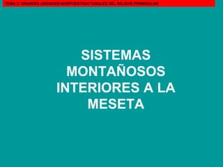 SISTEMAS MONTAÑOSOS INTERIORES A LA MESETA TEMA 3: GRANDES UNIDADES MORFOESTRUCTURALES DEL RELIEVE PENINSULAR 