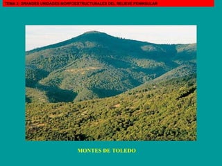 MONTES DE TOLEDO TEMA 3: GRANDES UNIDADES MORFOESTRUCTURALES DEL RELIEVE PENINSULAR 