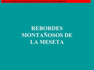 REBORDES MONTAÑOSOS DE LA MESETA TEMA 3: GRANDES UNIDADES MORFOESTRUCTURALES DEL RELIEVE PENINSULAR 