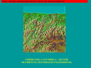 CORDILLERA CANTÁBRICA – SECTOR OCCIDENTAL (MATERIALES PALEOZOICOS) TEMA 3: GRANDES UNIDADES MORFOESTRUCTURALES DEL RELIEVE PENINSULAR 