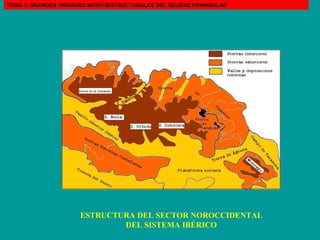 ESTRUCTURA DEL SECTOR NOROCCIDENTAL DEL SISTEMA IBÉRICO TEMA 3: GRANDES UNIDADES MORFOESTRUCTURALES DEL RELIEVE PENINSULAR 