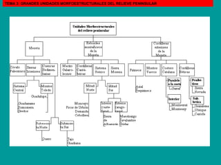 TEMA 3: GRANDES UNIDADES MORFOESTRUCTURALES DEL RELIEVE PENINSULAR 