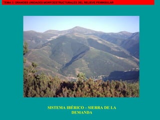 SISTEMA IBÉRICO – SIERRA DE LA DEMANDA TEMA 3: GRANDES UNIDADES MORFOESTRUCTURALES DEL RELIEVE PENINSULAR 