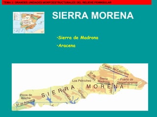 Sierra de Madrona  Aracena   SIERRA MORENA   TEMA 3: GRANDES UNIDADES MORFOESTRUCTURALES DEL RELIEVE PENINSULAR 
