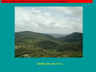 SIERRA DE ARACENA TEMA 3: GRANDES UNIDADES MORFOESTRUCTURALES DEL RELIEVE PENINSULAR 