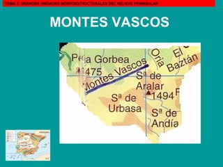 MONTES VASCOS   TEMA 3: GRANDES UNIDADES MORFOESTRUCTURALES DEL RELIEVE PENINSULAR 